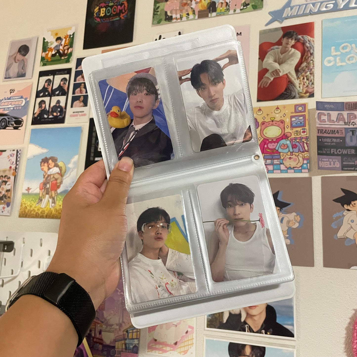 sweet cherry collectbook