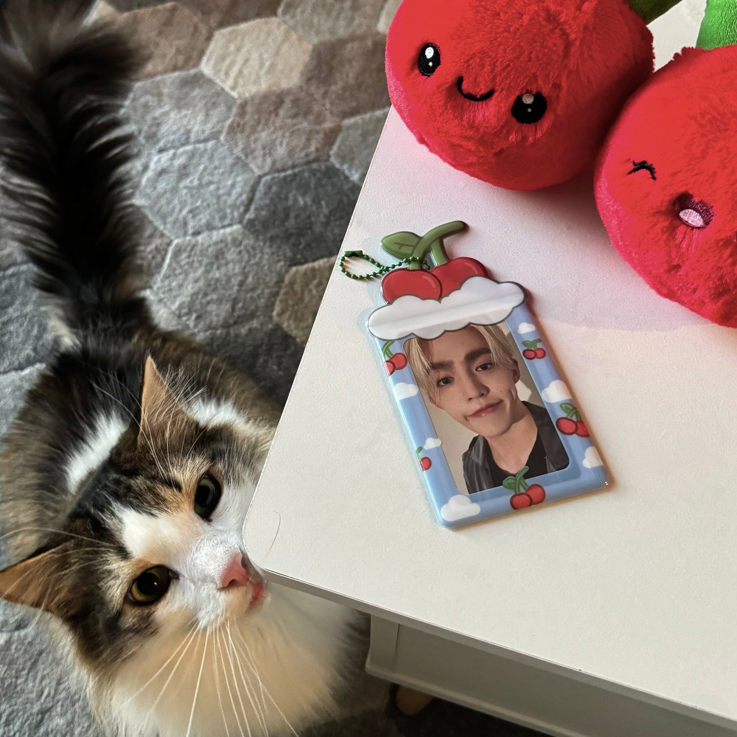 cherry dreams pvc photocard holder