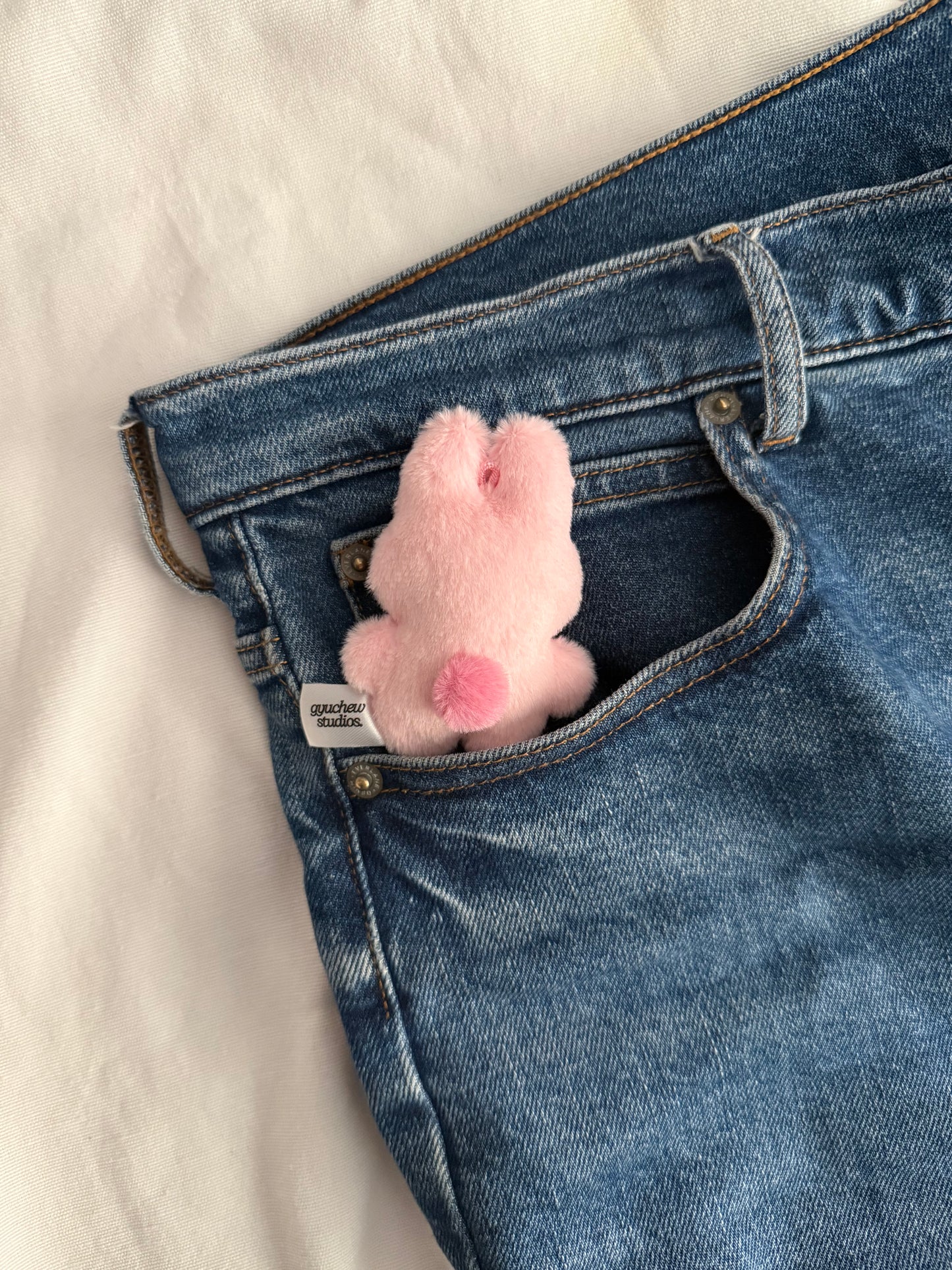 pocketzoo changbin