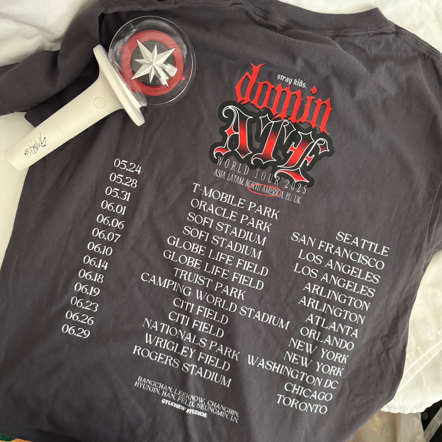 dominATE USA TOUR t-shirt