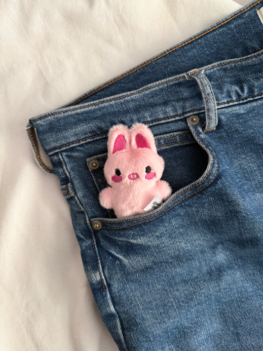 [PREORDER] POCKETZOO CHANGBIN