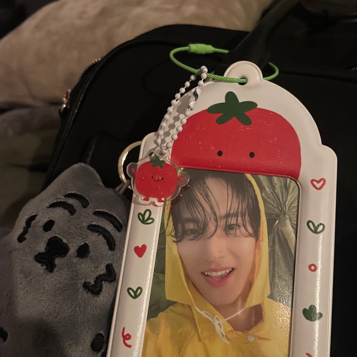 to-ma-toes pvc photocard holder