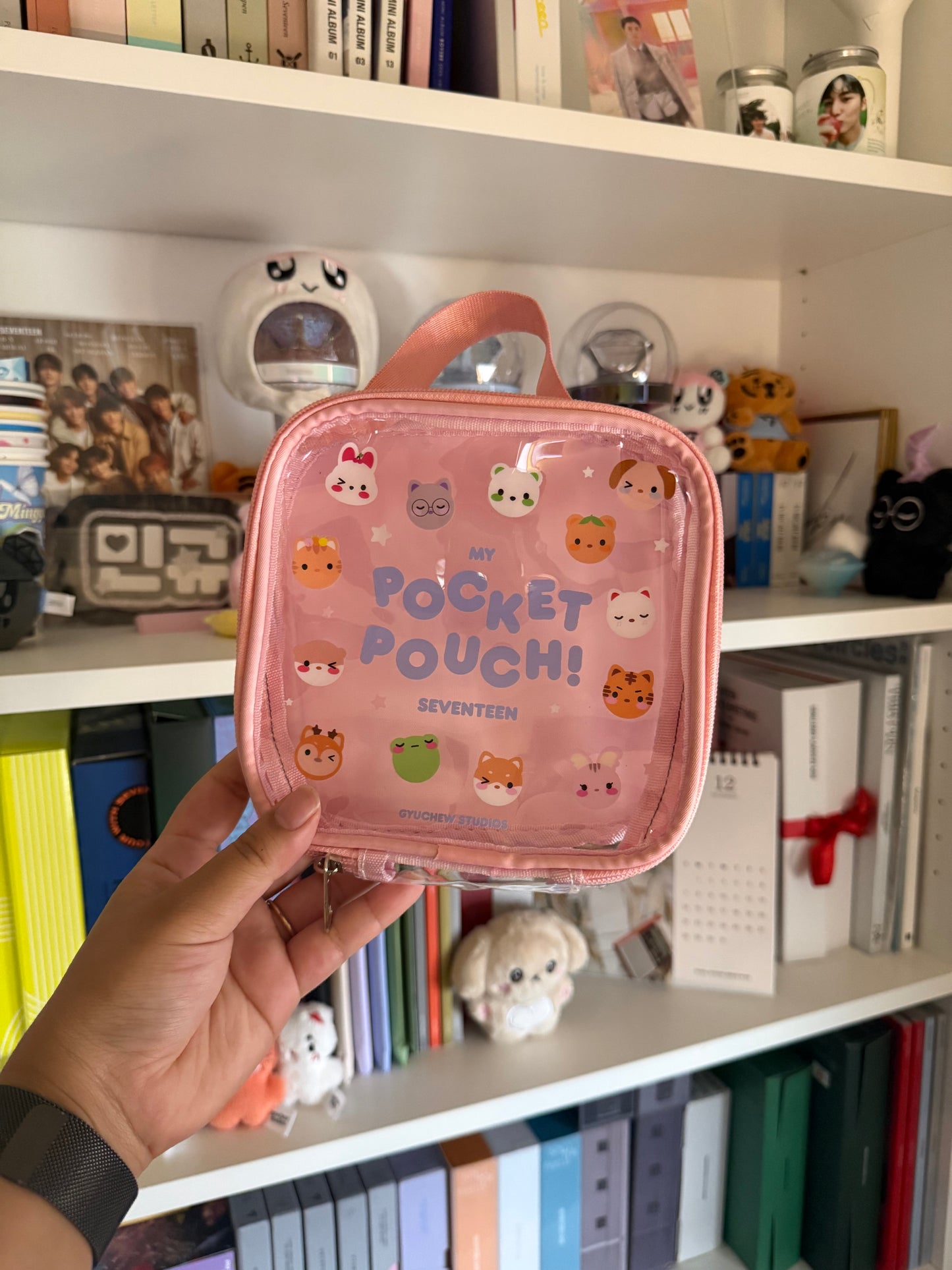 [PREORDER] POCKETEEN TRAVEL POUCH